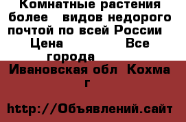 Комнатные растения более200видов недорого почтой по всей России › Цена ­ 100-500 - Все города  »    . Ивановская обл.,Кохма г.